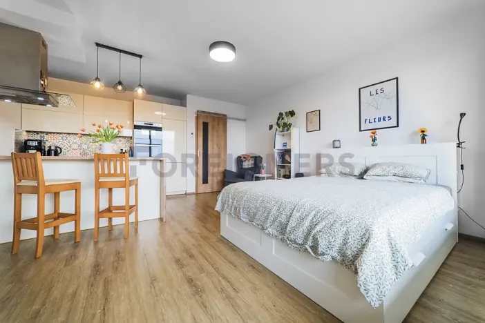 Prodej bytu 1+kk, Olomouc, Loudova, 36 m2