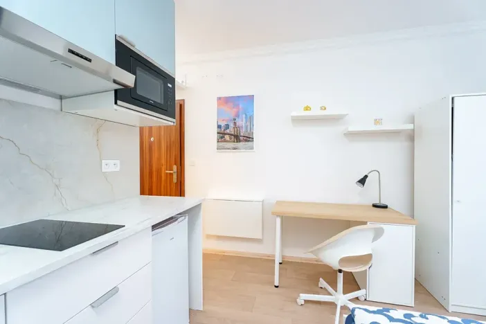 Prodej bytu 1+kk, Praha - Krč, Čerčanská, 18 m2