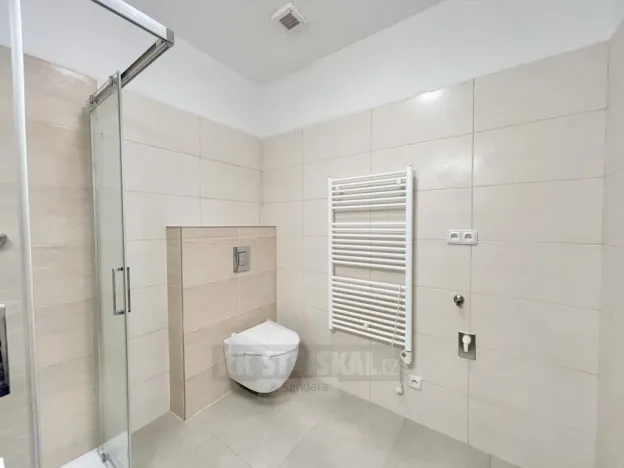 Pronájem bytu 2+kk, České Budějovice - České Budějovice 3, Riegrova, 52 m2