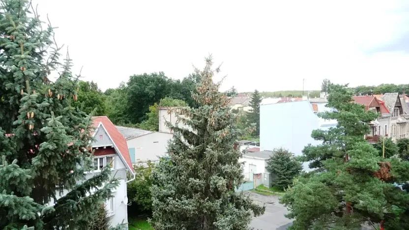 Pronájem bytu 2+1, Duchcov, Družby, 53 m2