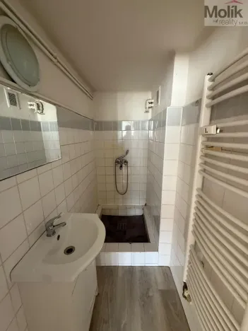 Prodej bytu 1+1, Litvínov - Horní Litvínov, Koldům, 27 m2