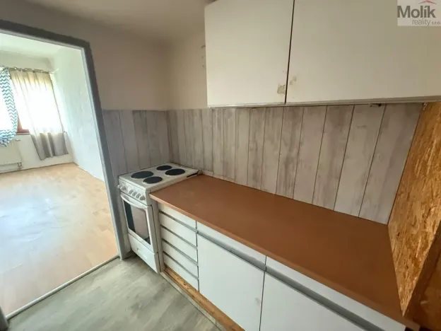 Prodej bytu 1+1, Litvínov - Horní Litvínov, Koldům, 27 m2