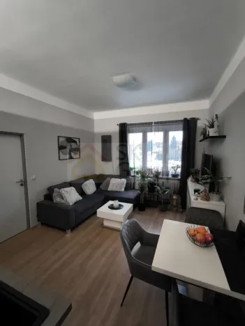 Prodej bytu 2+kk, Karlovy Vary - Rybáře, Čankovská, 46 m2