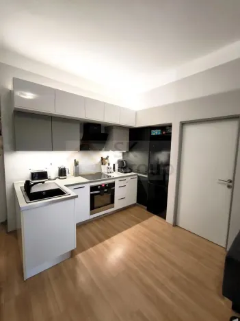 Prodej bytu 2+kk, Karlovy Vary - Rybáře, Čankovská, 46 m2