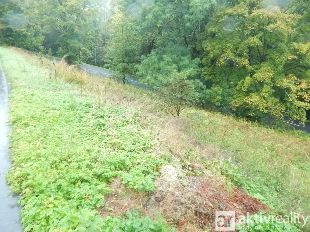 Prodej zahrady, Vejprty, Ovocná, 876 m2