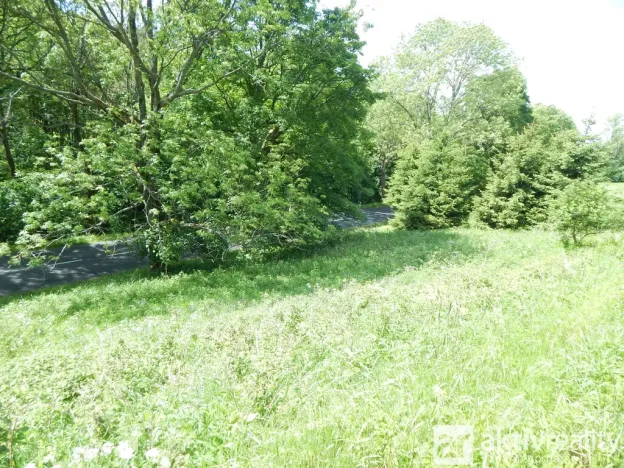 Prodej zahrady, Vejprty, Ovocná, 876 m2