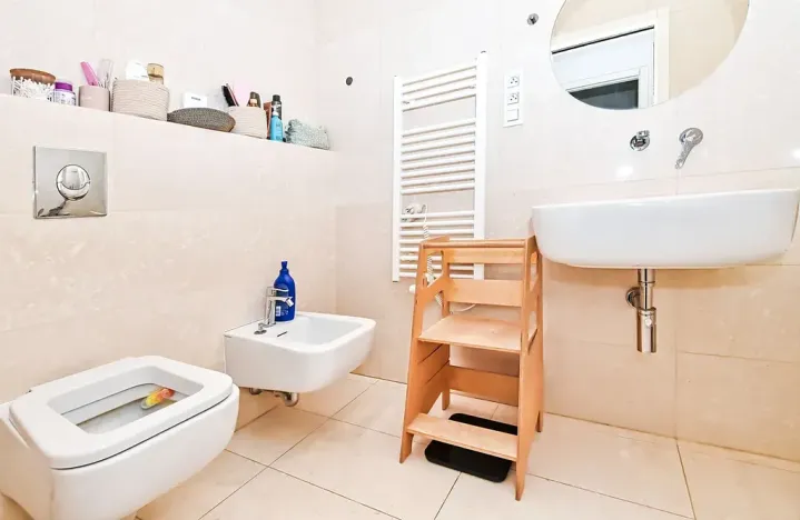 Prodej bytu 3+kk, Praha - Nové Město, Petrská, 85 m2