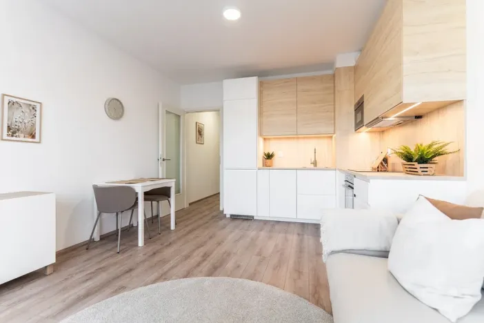 Prodej bytu 1+kk, Brno - Zábrdovice, Spolková, 27 m2