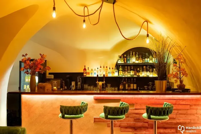 Prodej restaurace, Olomouc, Denisova, 110 m2