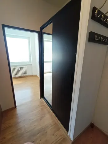 Pronájem bytu 1+1, Frýdlant nad Ostravicí, 38 m2