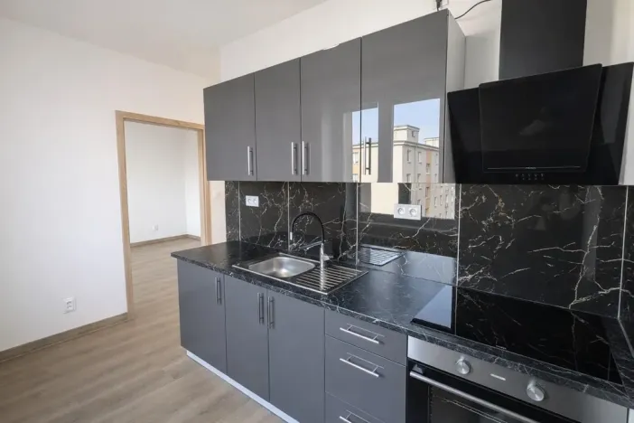 Pronájem bytu 2+1, Most, Maxe Švabinského, 55 m2