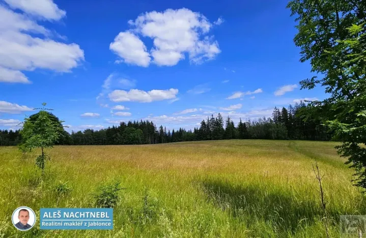 Prodej pozemku, Zásada, 2647 m2