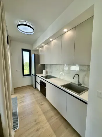 Pronájem bytu 2+kk, Praha - Karlín, Sokolova, 67 m2