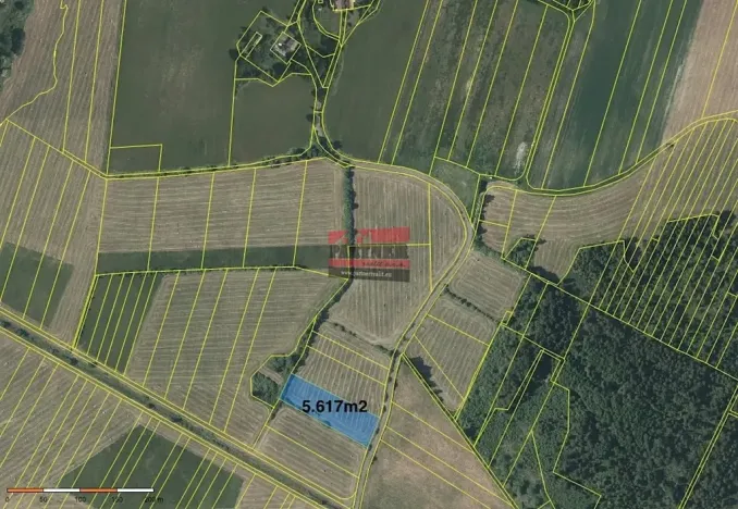 Prodej podílu pole, Borkovice, 15132 m2