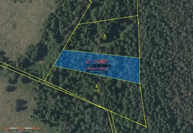 Prodej podílu pole, Borkovice, 15132 m2