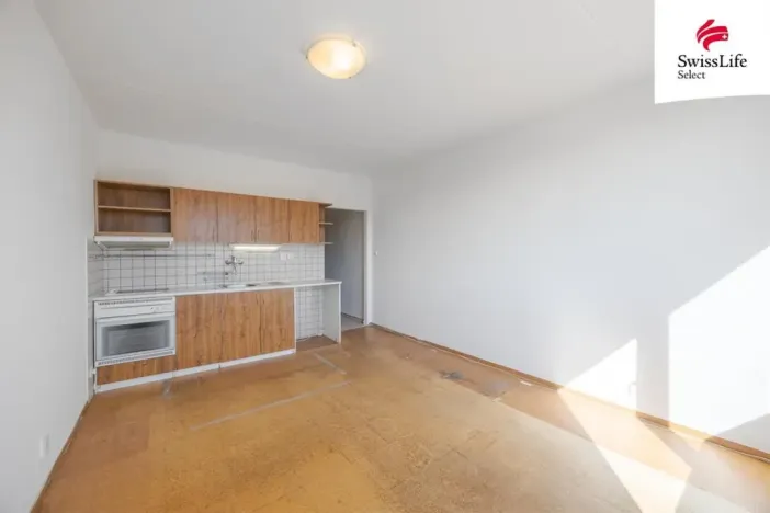 Prodej bytu 1+kk, Brno, Horácké náměstí, 24 m2