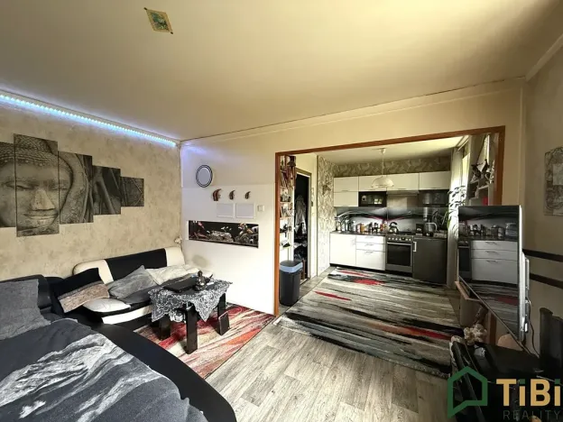 Prodej bytu 1+1, Blansko, Chelčického, 29 m2