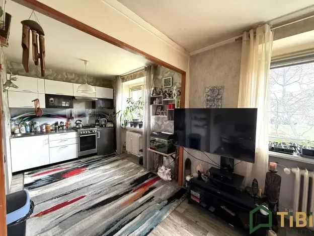 Prodej bytu 1+1, Blansko, Chelčického, 29 m2