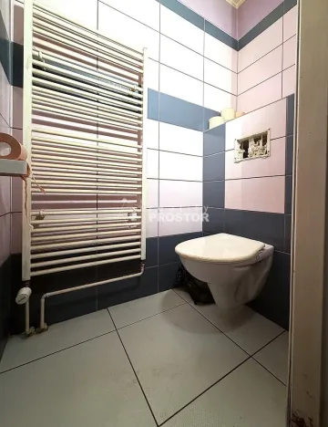 Prodej vícegeneračního domu, Ledčice, 149 m2