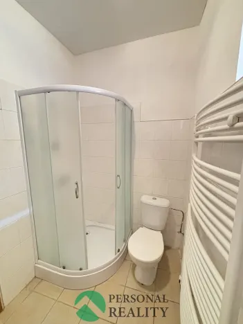 Prodej vícegeneračního domu, Chlumec nad Cidlinou, Pražská, 265 m2