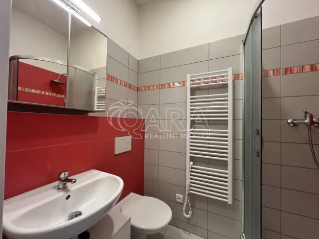 Pronájem bytu 1+kk, Praha - Braník, Na vinohradu, 22 m2
