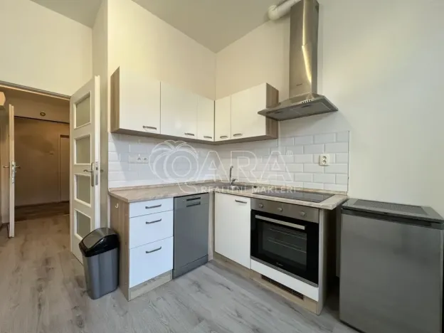 Pronájem bytu 1+kk, Praha - Braník, Na vinohradu, 22 m2
