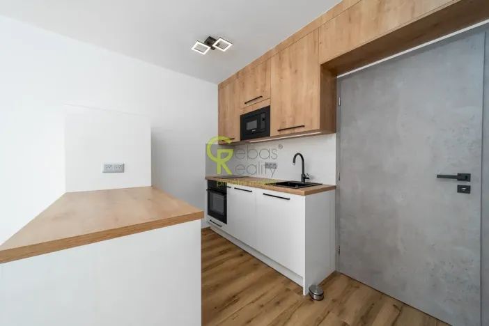 Pronájem bytu 1+kk, Praha - Hodkovičky, Pod lysinami, 30 m2