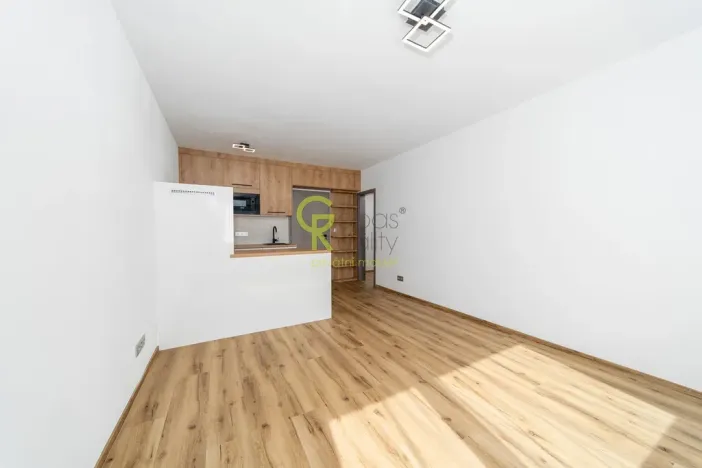 Pronájem bytu 1+kk, Praha - Hodkovičky, Pod lysinami, 30 m2