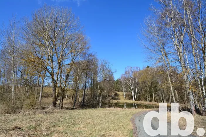 Prodej rybníku, Toužim, 5506 m2