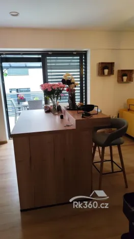 Prodej bytu 2+kk, Ostrava - Michálkovice, Kasalického, 132 m2