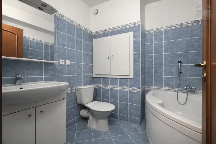 Pronájem bytu 1+kk, Brno, V Újezdech, 30 m2