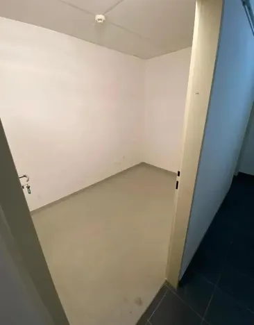 Pronájem bytu 4+kk, Praha - Žižkov, Pitterova, 117 m2