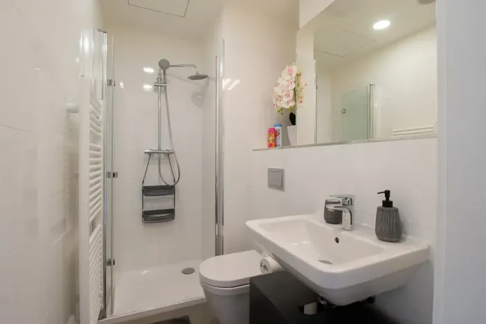 Pronájem bytu 1+kk, Praha - Vinohrady, Perucká, 25 m2