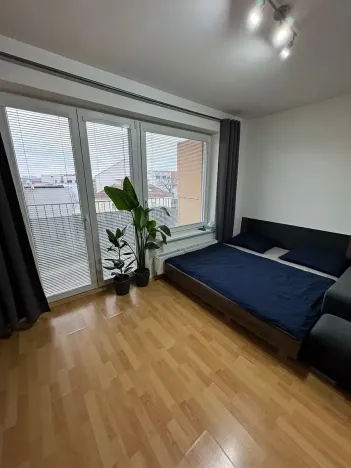 Pronájem bytu 1+kk, Brno, Kosmova, 40 m2