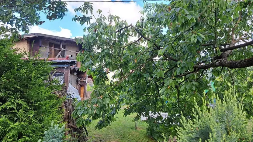 Dražba skladu, Hroznětín, ČSA, 29 m2