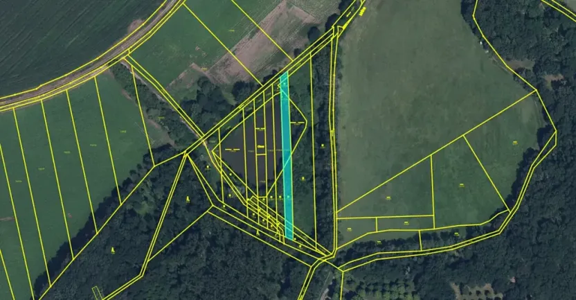 Dražba louky, Kopidlno, 1439 m2