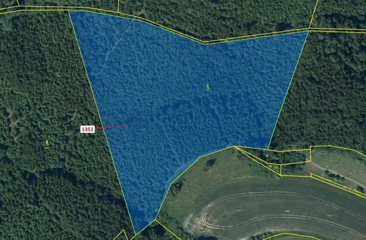 Dražba lesa, Čestín, 22508 m2