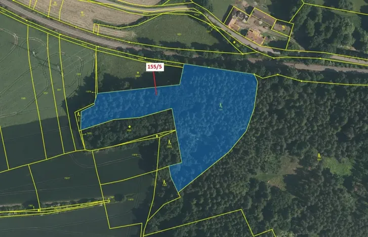 Dražba lesa, Nerestce, 11172 m2