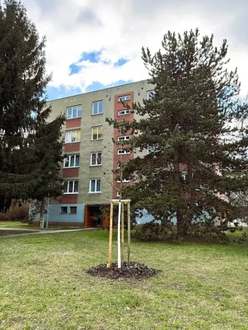 Pronájem bytu 3+1, Brno, Horní, 68 m2