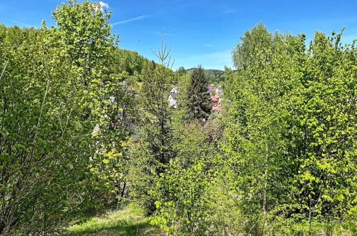 Prodej pozemku pro bydlení, Kraslice, 1039 m2