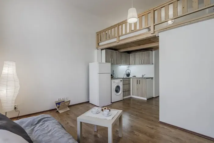 Pronájem bytu 1+kk, Praha - Žižkov, Milíčova, 25 m2