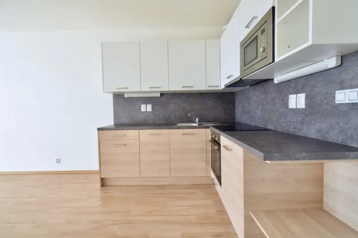 Pronájem bytu 1+kk, Brno - Slatina, Řípská, 40 m2