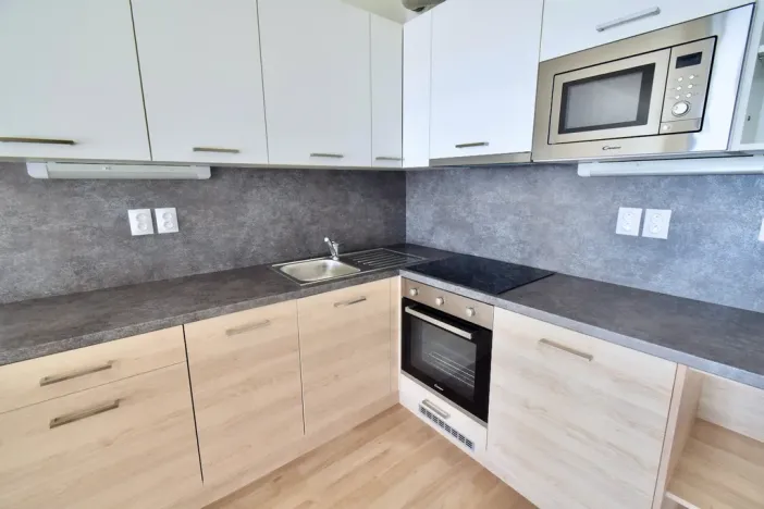 Pronájem bytu 1+kk, Brno - Slatina, Řípská, 40 m2