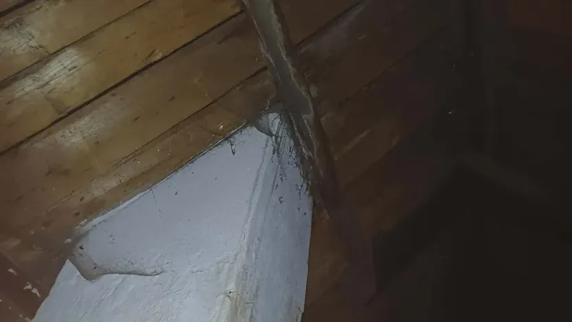 Prodej chalupy, Sněžné, 80 m2