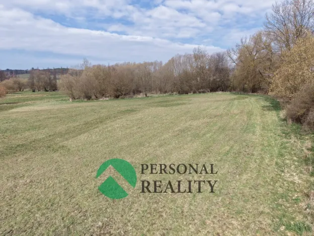 Prodej pozemku pro bydlení, Jankov, 9102 m2