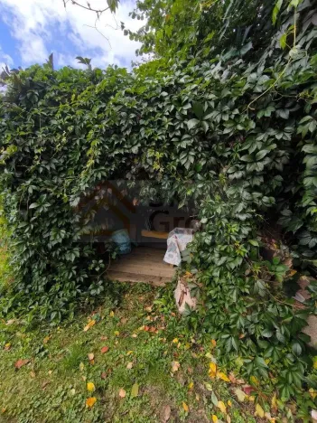 Prodej zahrady, Žlutice, 569 m2