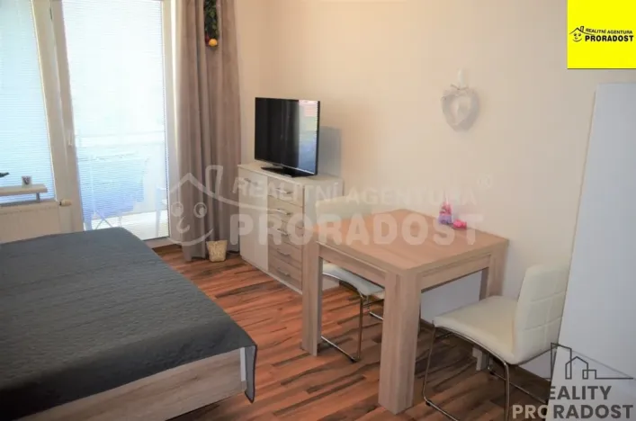 Pronájem bytu 1+kk, Jihlava, Zimní, 30 m2