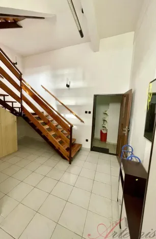 Pronájem rodinného domu, Ostrava - Hrabůvka, Edisonova, 248 m2