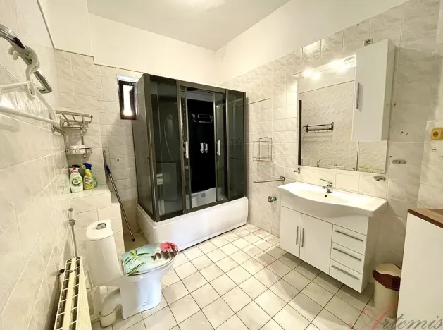 Pronájem rodinného domu, Ostrava - Hrabůvka, Edisonova, 248 m2