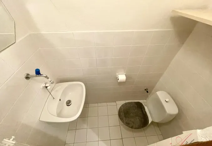 Pronájem rodinného domu, Ostrava - Hrabůvka, Edisonova, 248 m2